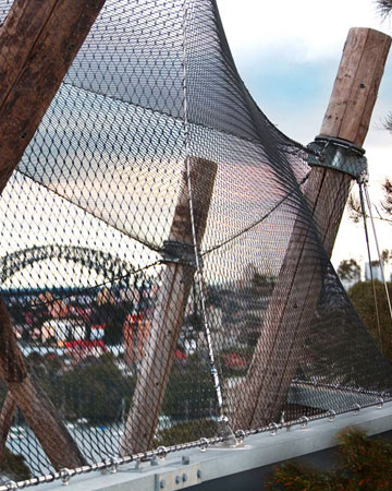 Taronga Zoo Sydney - Chimpanzee Enclosure