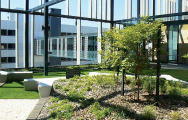 Fiona Stanley Hospital Rooftop Gardens