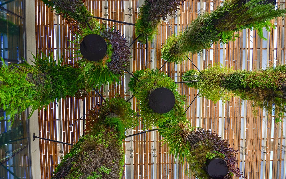 Ronstan provided technical support and the structural tension rods and compression struts for the Hanging Gardens which were designed by world renowned Artist Patrick Blanc – the creator of the “Living Wall” and famous for his vertical gardens.