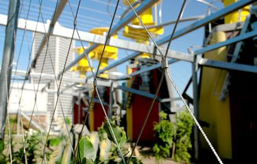 Southbank Arbour - Greening System - Ronstan Tensile Architecture