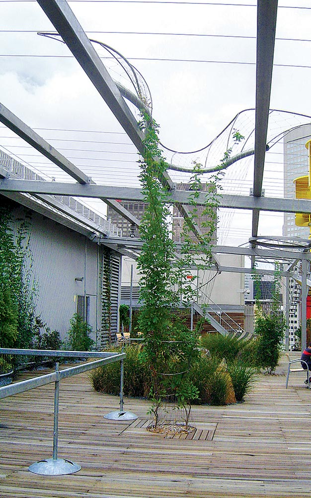 The Council House 2 roof top garden displaying a wide range of Ronstan mesh cable trellis solutions