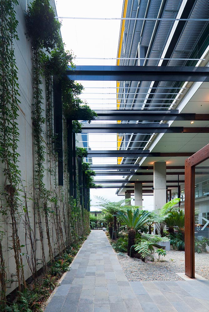 Housed within William McCormack Place 2 is a grid-style cable trellis, comprised of horizontal and vertical cables which affix to the supporting walls via stainless steel wall mounts. The trellis flows up vertical walls, and folds back horizontally across the canopy enabling full cover over the pergola.