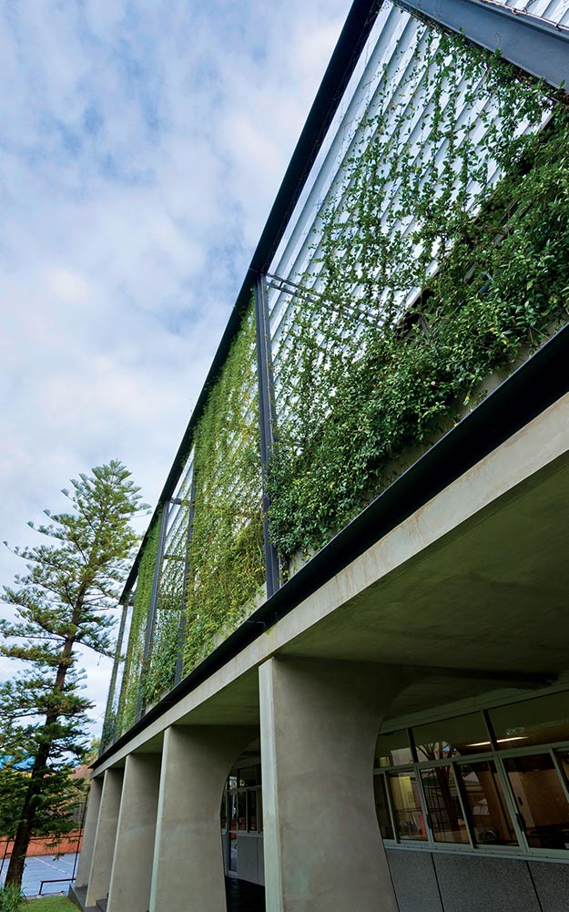 The eastern facade green walls of Our Lady of Mercy College by Ronstan Tensile Architecture