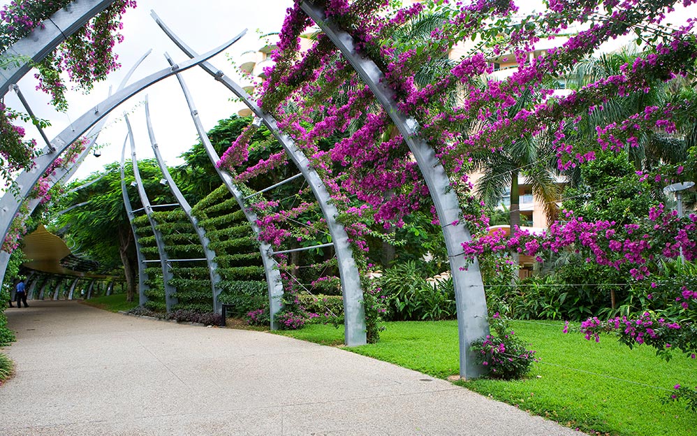 Southbank Arbour - Greening System - Ronstan Tensile Architecture