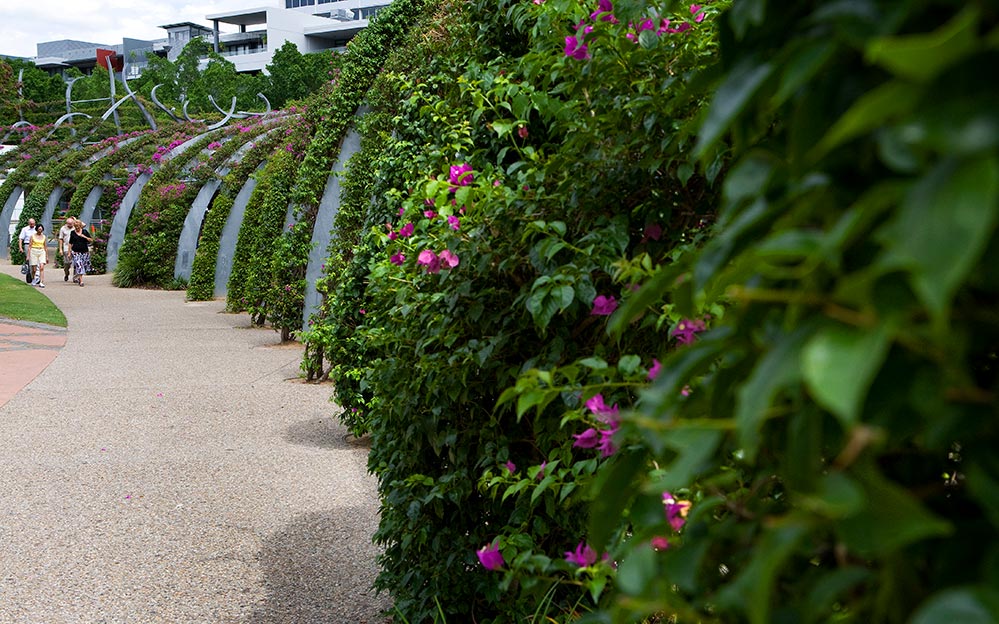 Southbank Arbour - Greening System - Ronstan Tensile Architecture