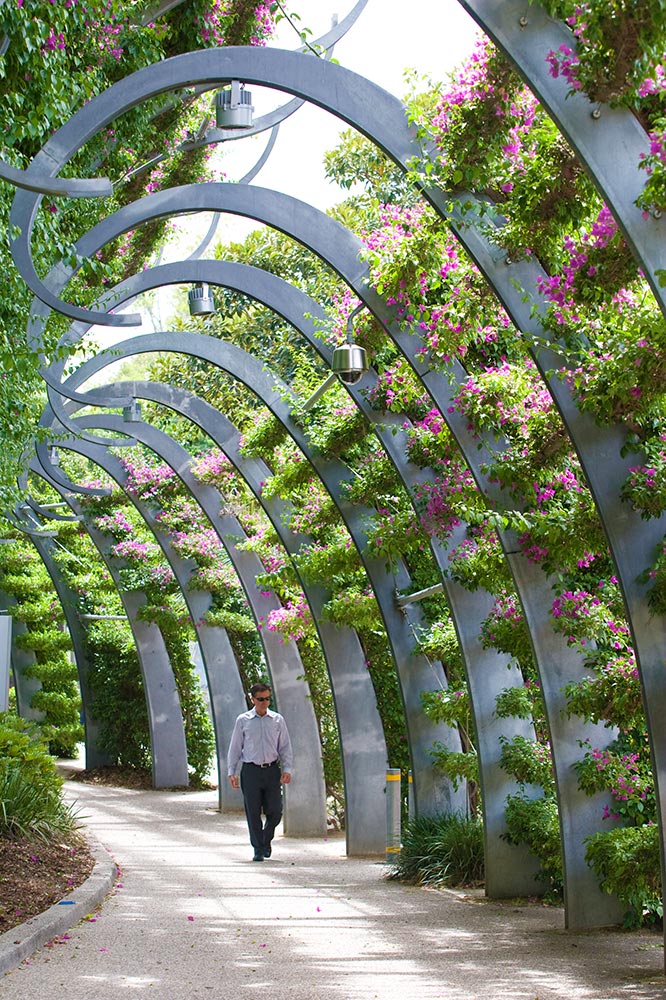 Southbank Arbour - Greening System - Ronstan Tensile Architecture