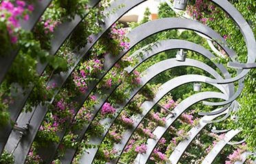 The vertical gardens of the Southbank Arbour have become a defining symbol of South Bank with its 443 curling, tendril-like columns of steel, each covered with a train of vibrant magenta bougainvillea plants.