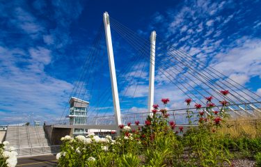 The Markey Bridge – Cable Stayed Bridge with Stainless Steel Cable Railings