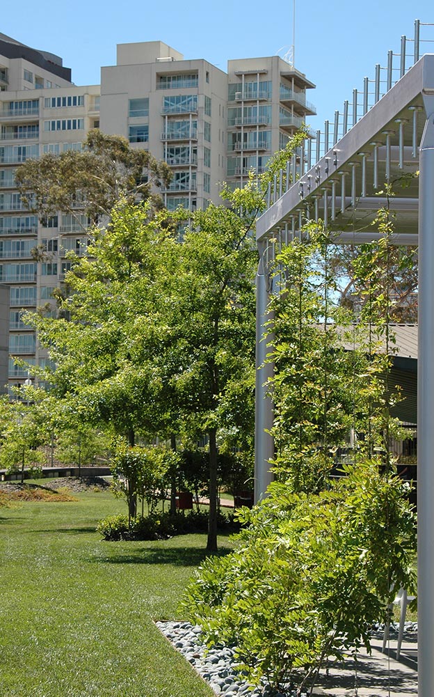 Renowned landscape architect, Sinatra Murphy, was quick to enlist the support Ronstan Tensile Architecture to assist with the design and realization of two cable net clad arbours, each set to become a centre piece of the new vertical garden.