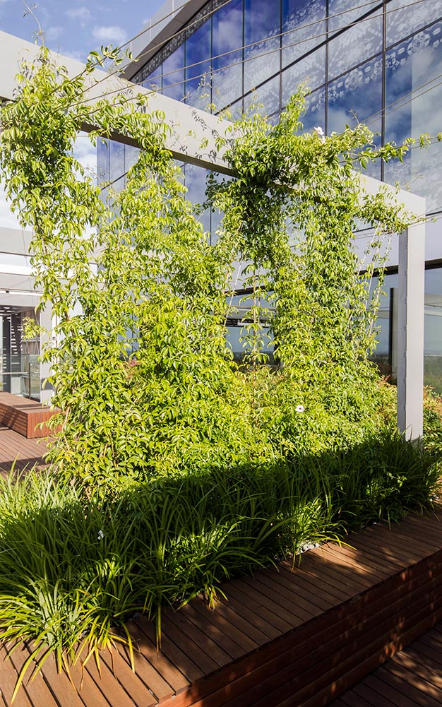 Ronstan’s tensile stainless steel cables and other Ronstan elements were used to construct the project’s four reception area greenwalls, seat planters in the pocket atria, and vertical and horizontal trellises in the Loggia section.