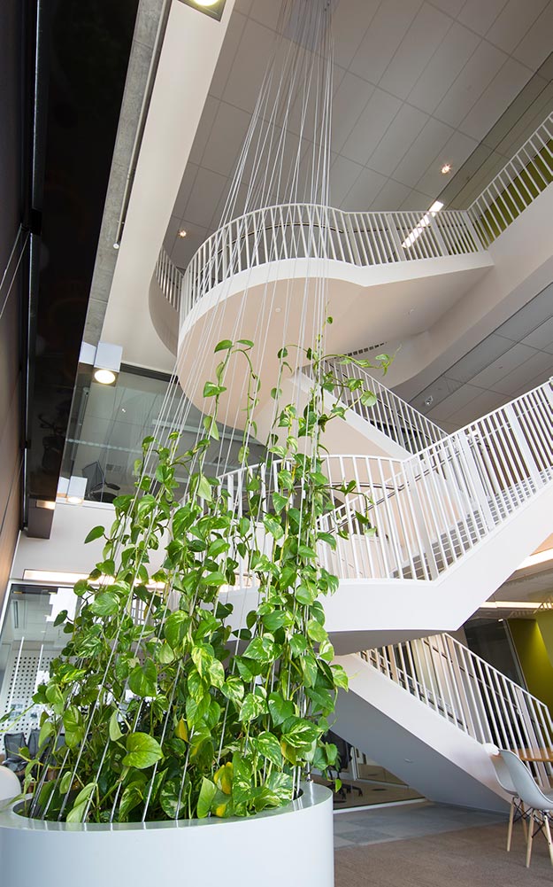 Ronstan’s tensile stainless steel cables and other Ronstan elements were used to construct the project’s four reception area greenwalls, seat planters in the pocket atria, and vertical and horizontal trellises in the Loggia section.