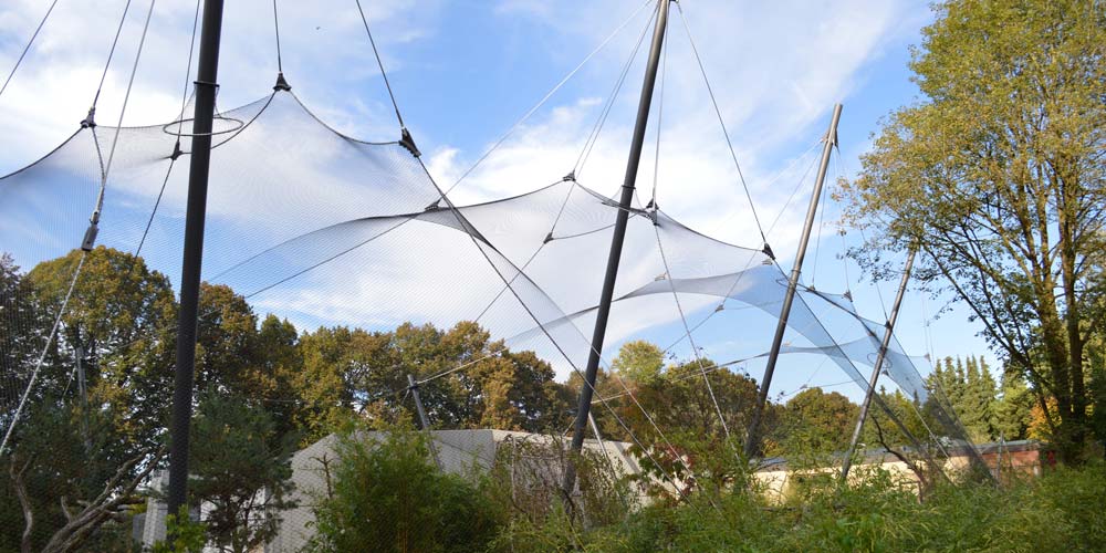 Complex shapes of tensile mesh surface can be achieve in for example zoological enclosures